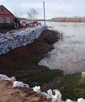 Уровень реки Урал в Оренбургской области вырос до 913 сантиметров