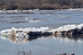 Уровень воды в реке Урал у Оренбурга за ночь снизился на 16 сантиметров