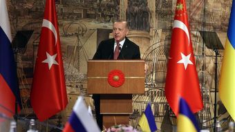 Эрдоган оценил шансы на урегулирование украинского конфликта без России