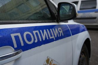В Липецке наркокурьер делал тайники и попутно воровал тыквы и кабачки