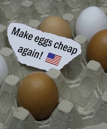 Трамп заявил о массовом снижении цен на яйца перед Пасхой