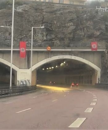 Флаги со свастикой развесили в Стокгольме в день рождения Гитлера