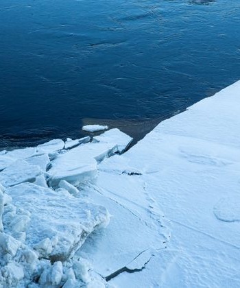 Женщина в попытках спасти собаку провалилась под лед Москвы-реки