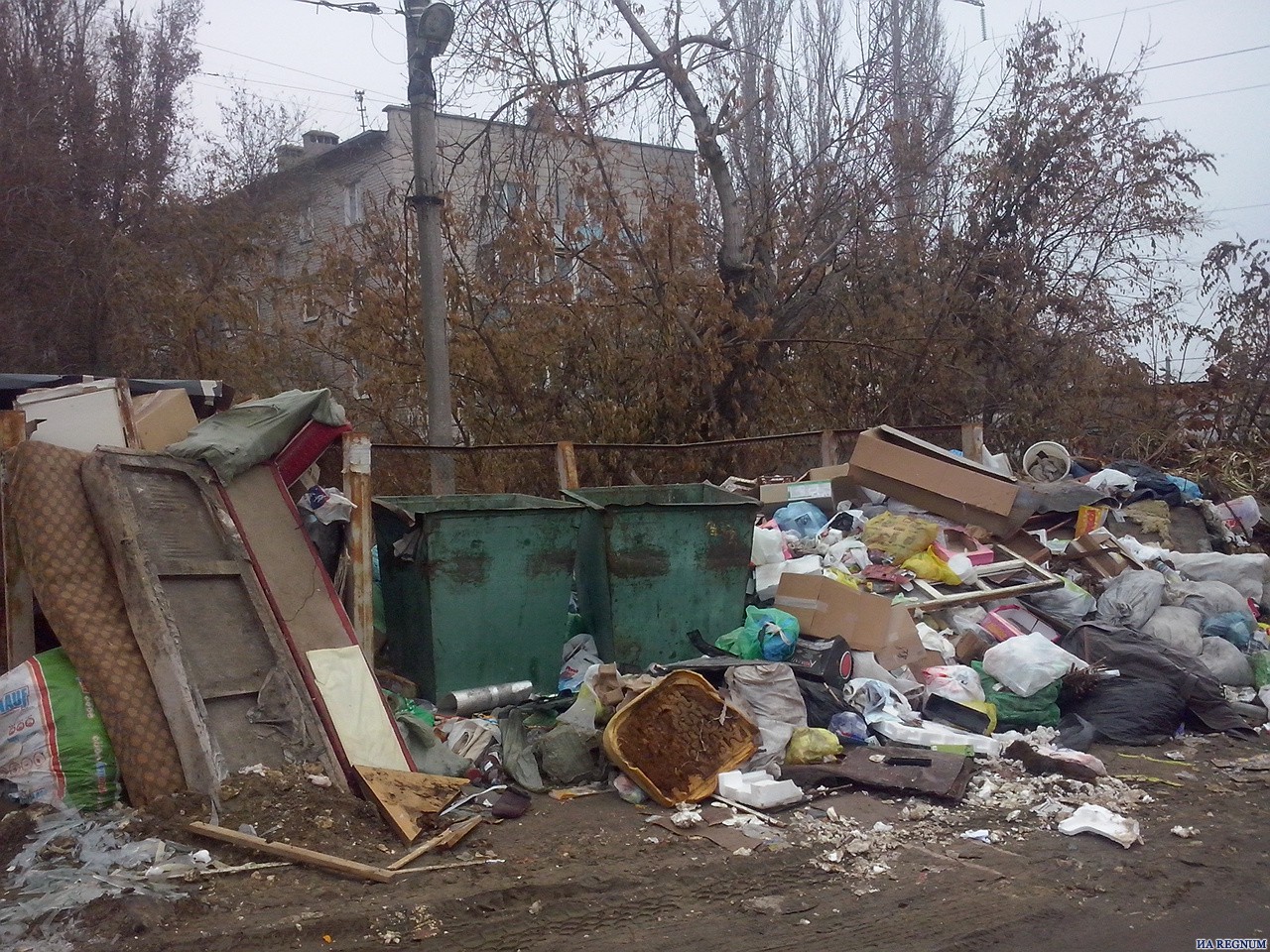 Жители Волгограда жалуются на переполненные мусорные баки