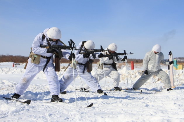 Арктические войска России