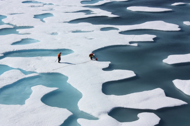 Арктический морской лёд