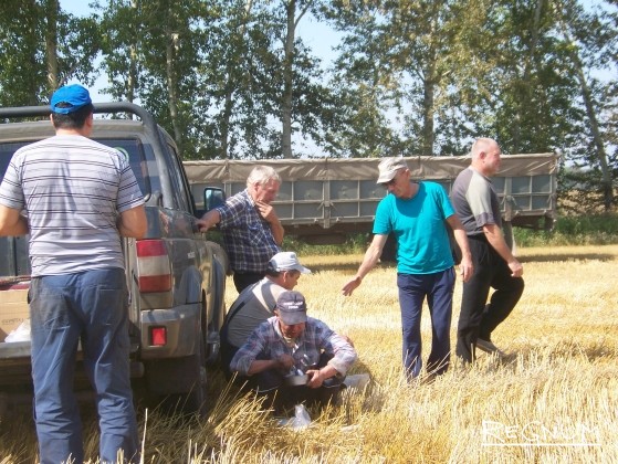 Обеденный перерыв в поле агрохолдинга «Гудвилл» в Советском районе Алтайского края 