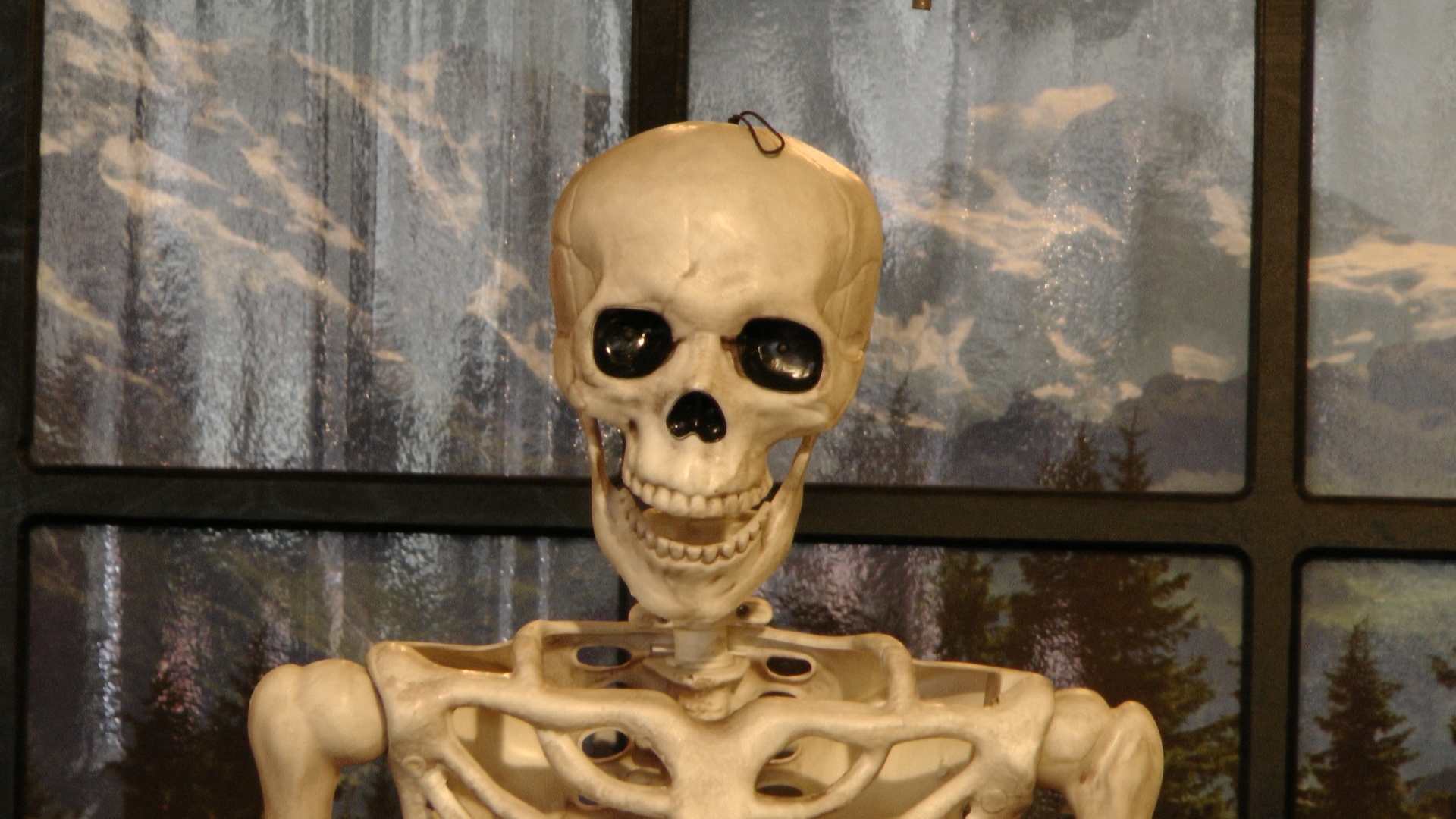Искусственный скелет