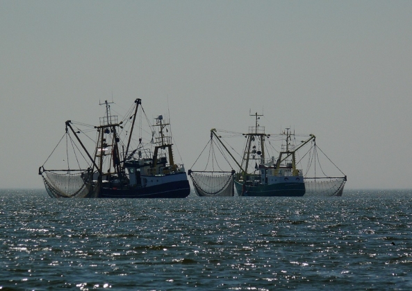 Рыболовные судна