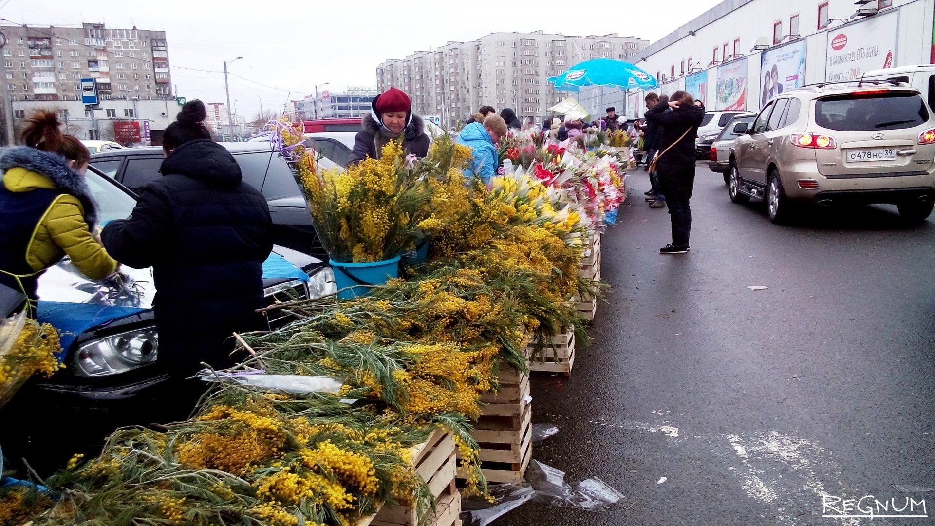 8 марта в Калининграде: семь миллионов тюльпанов и снежная Клара Цеткин