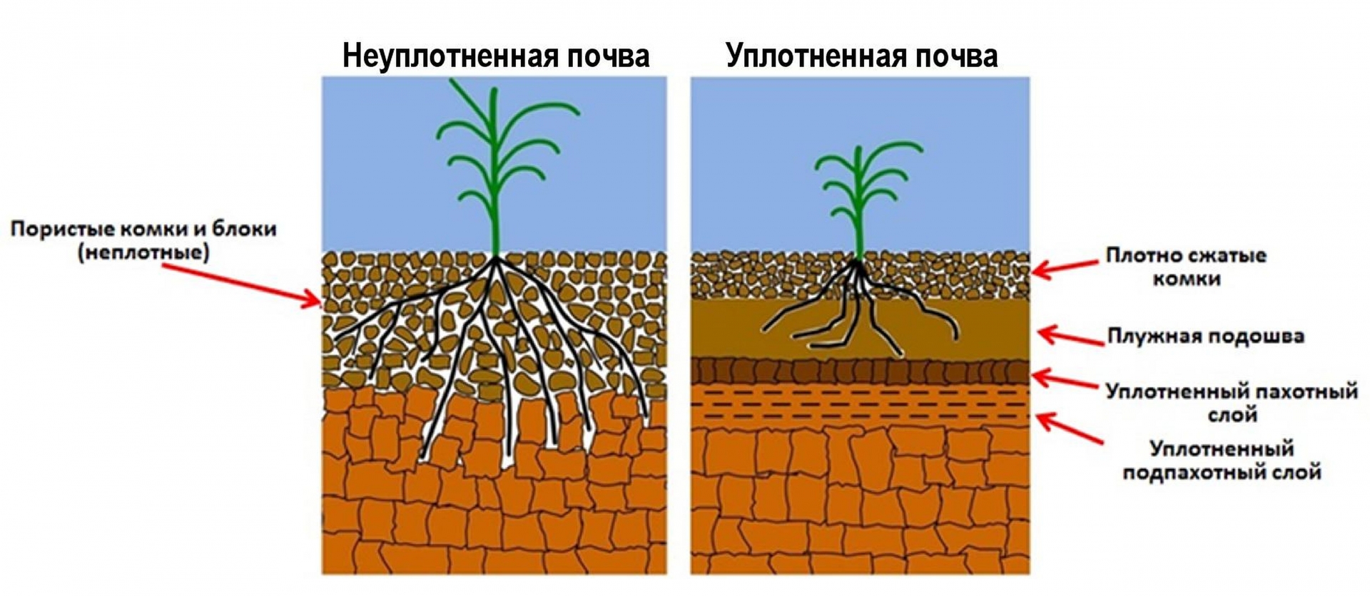 Плужная подошва почвы