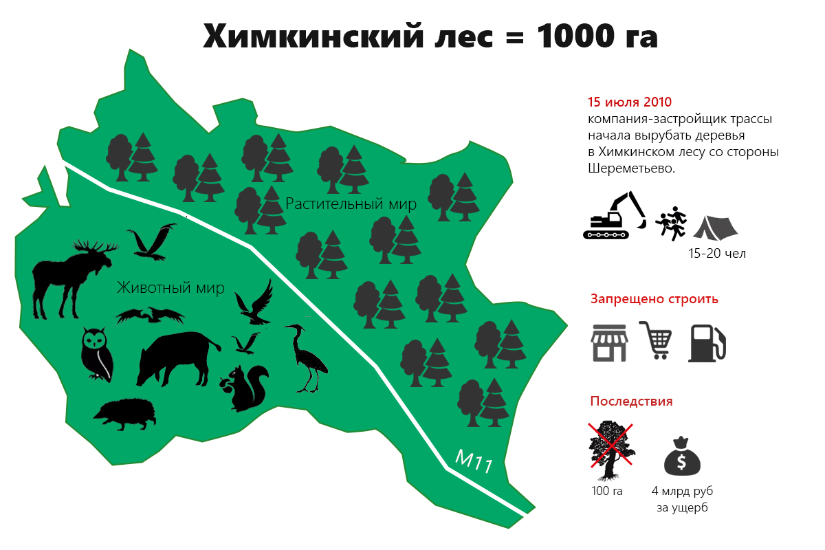 Новая трасса Москва – Петербург: через войну с экологами