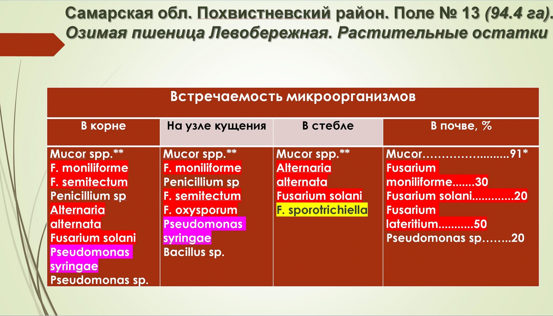 Российское земледелие в поисках правильных приоритетов развития