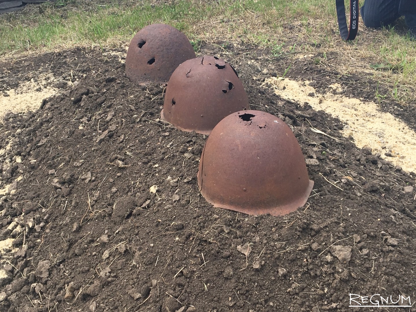 Пограничные полки в вов