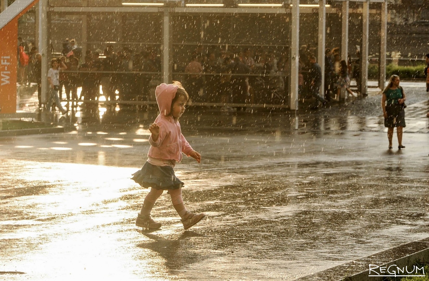 Дождливое лето в Москве