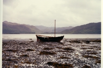 В Шотландии лох-несское чудовище Несси вновь дало о себе знать