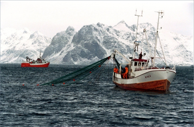 Рыболовство в Арктике