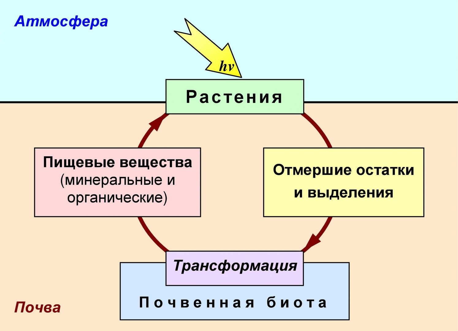 Биологизация — путь к выходу земледелия из нарастающего почвенного кризиса