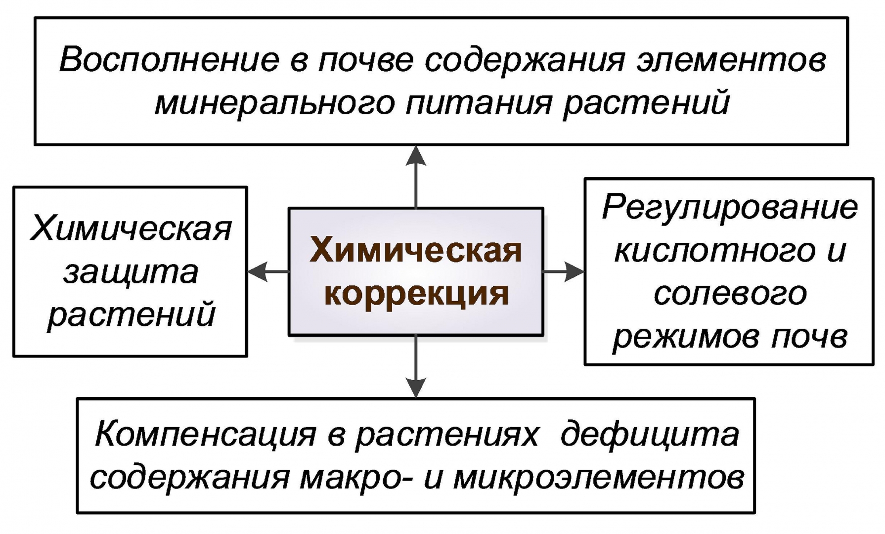 Биологизация — путь к выходу земледелия из нарастающего почвенного кризиса