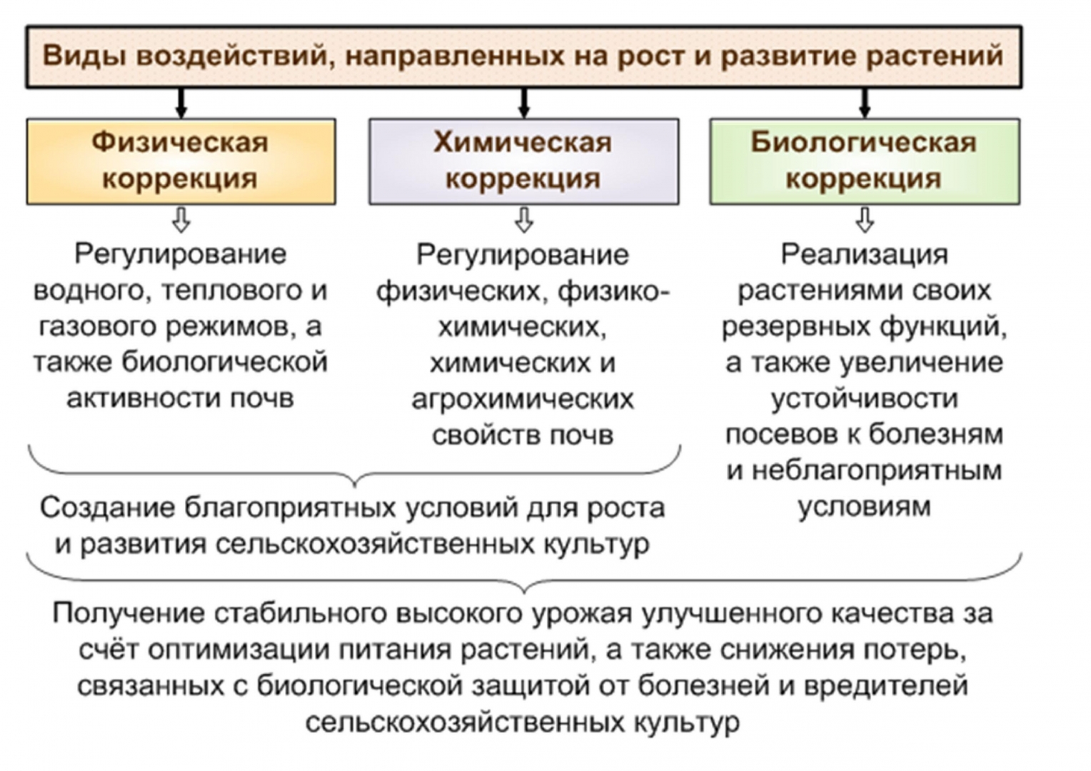 Биологизация — путь к выходу земледелия из нарастающего почвенного кризиса