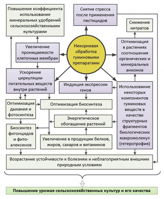 Глава 1. ВВЕДЕНИЕ В ПОЧВОВЕДЕНИЕ