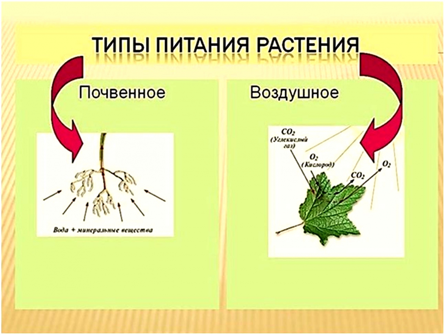 Новое понимание плодородия почв — условие выхода из кризиса земледелия