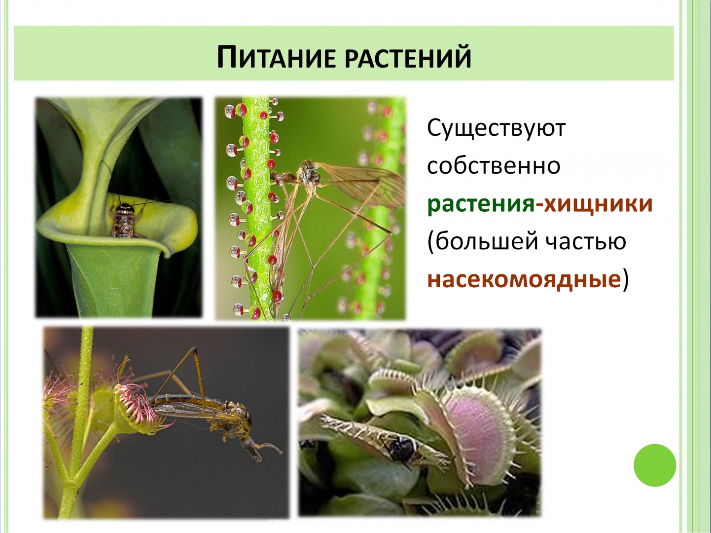 Новое понимание плодородия почв — условие выхода из кризиса земледелия