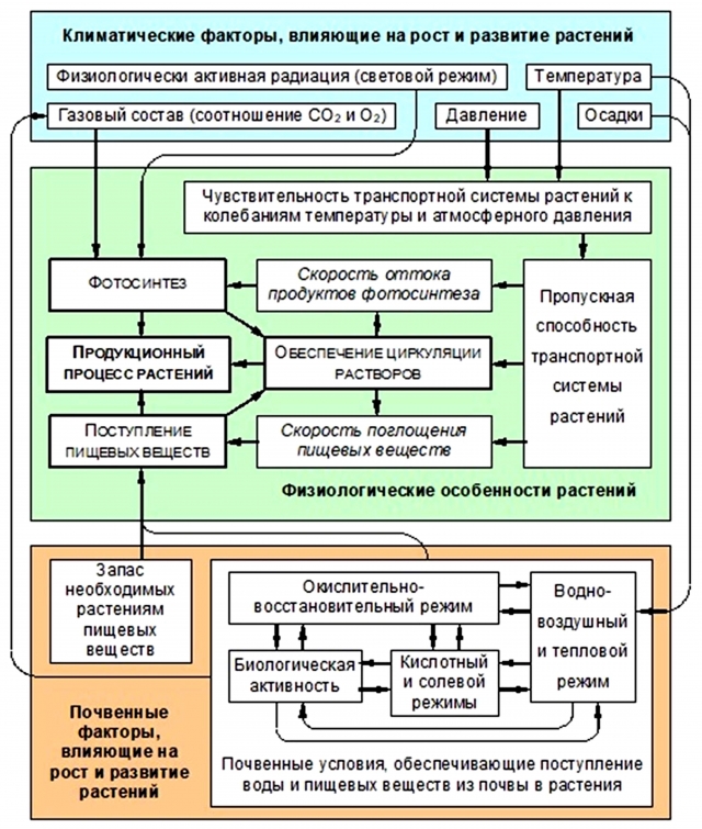 2. Результаты деятельности человека на почту