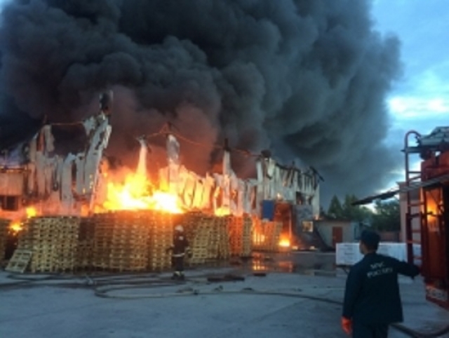 Пожар в Тосненском районе 