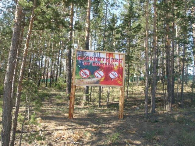 «Берегите лес от пожара!»