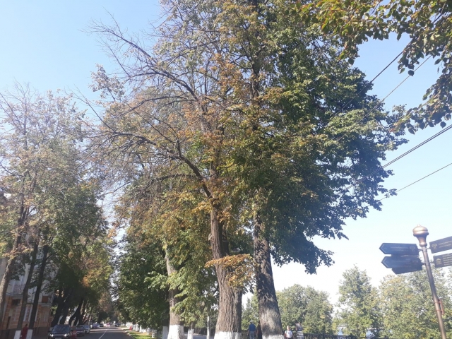 Голая Дуа Липа горячие фото и слитые засветы без фотошопа бесплатно