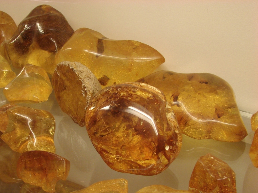 Молодой янтарь копал. Копал каури. Копал янтарь. Смола (копал, каури). Копал тропический янтарь.