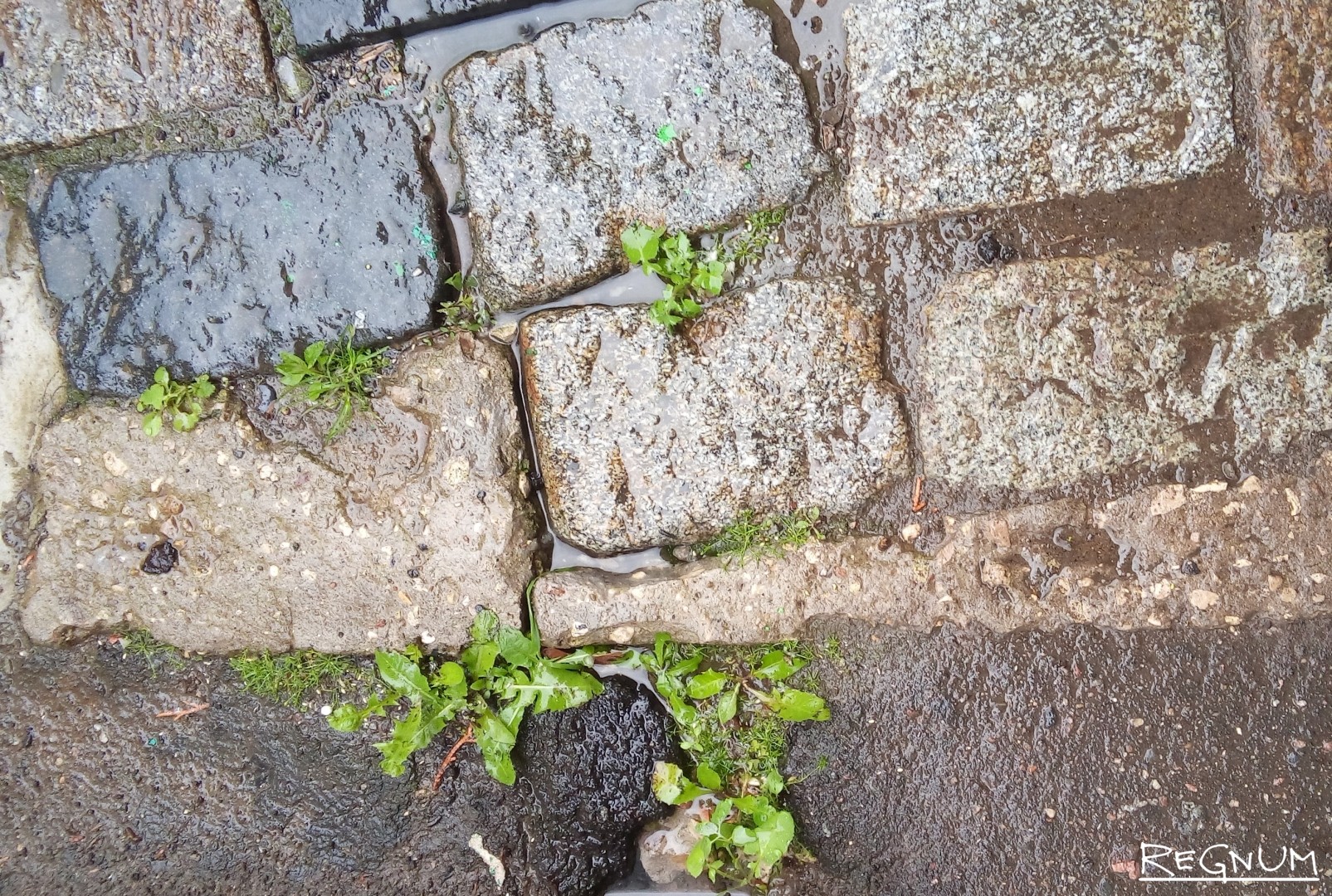 Уничтожение исторической среды. Калуга, Боровск, Дугна, далее везде...