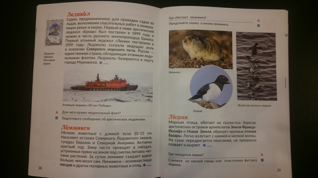 Учебник «Арктическая азбука»