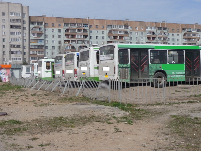 Псковские автобусы 