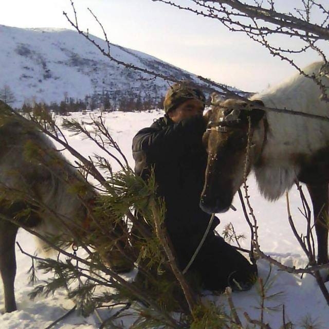 Эвенк Андрей Адуканов пасет на Камчатке своих оленей и очень надеется на помощь президента России