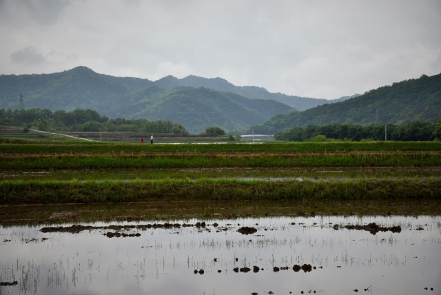 Сельский ландшафт. Деревня Хахве, Южная Корея