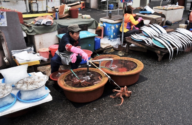 Рынок Чагальчхи – самый крупный рыбный рынок в Южной Корее. Отдельные ряды рынка отведены под торговлю свежей рыбой, моллюсками, сушёной рыбой и другими всевозможными обитателями морских глубин. Пусан, Южная Корея