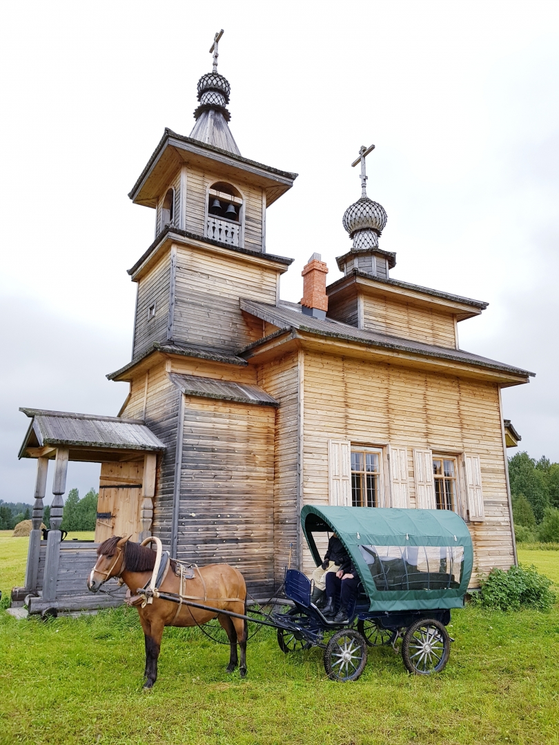 Северный лес: кормилец, убежище, дары смерти