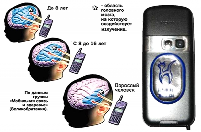 Распределение поглощенной энергии в головном мозге взрослого и у детей разного возраста при использовании мобильного телефона