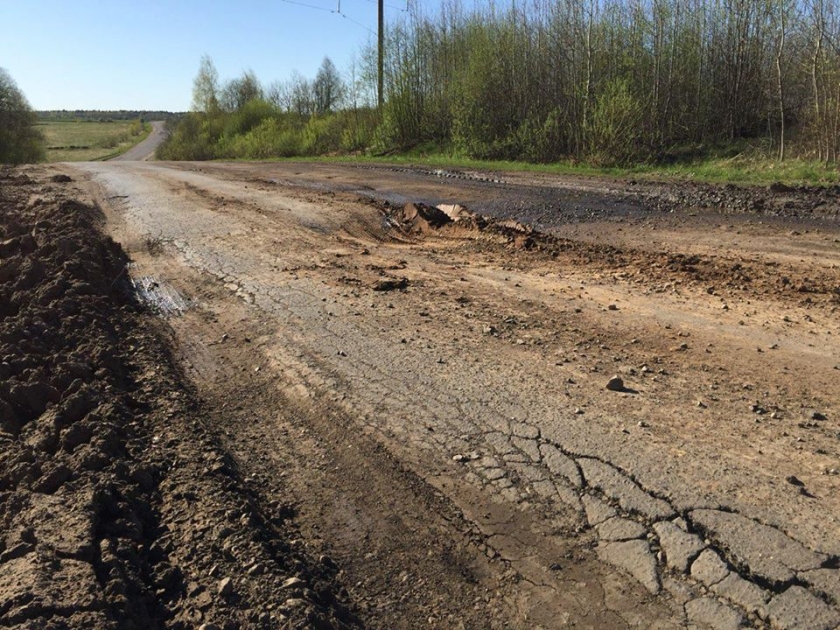 Дорога золотом. Дороги Ярославской области. Курба дорога. Дорога в Борисоглебский Ярославская область.