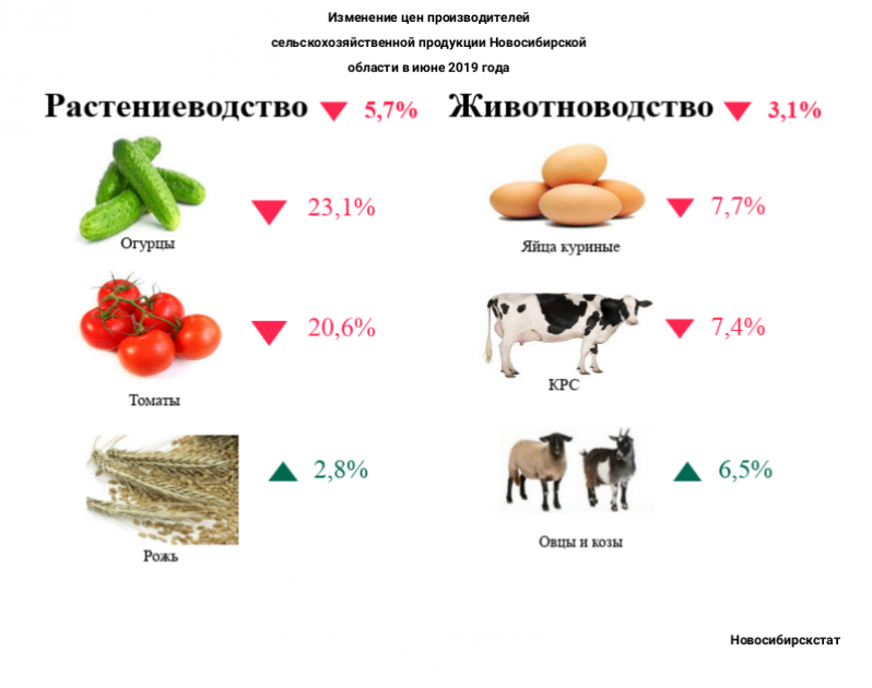 Помидоры для козы. Помидор баран.