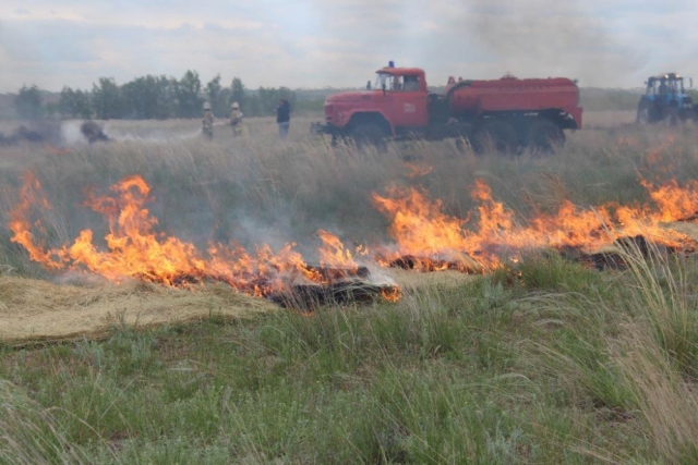 Пожарно-спасательные подразделения ликвидируют крупный природный пожар на территории Ясненского г.о