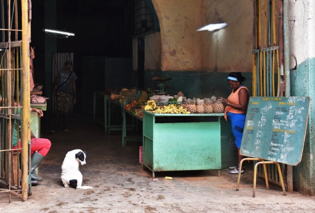 Продовольственные рынки на Кубе не отличаются разнообразием. Основной товар: фрукты, овощи и мясная продукция. Цены значительно ниже, чем в магазине. Гавана, Куба