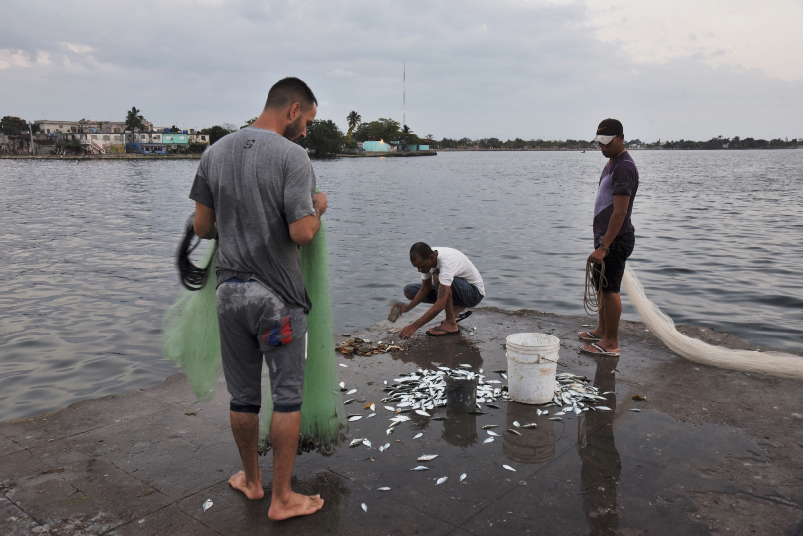 Рыбаки оценивают свой улов, который пойдёт на продажу в местные рестораны. Сьенфуэгос, Куба