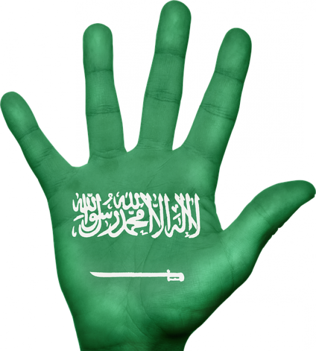 Саудовская Аравия +