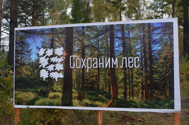  Акция «Живи, лес!» в Забайкальском крае