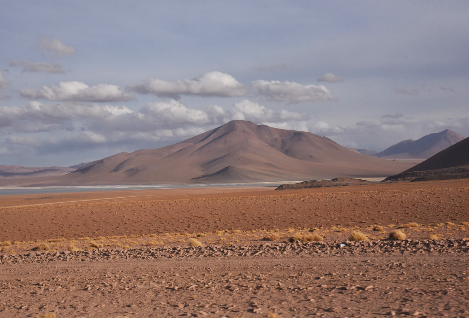 Плато Альтиплано является одной из многочисленных экологических зон Боливии, уступающих по величине только Тибету
