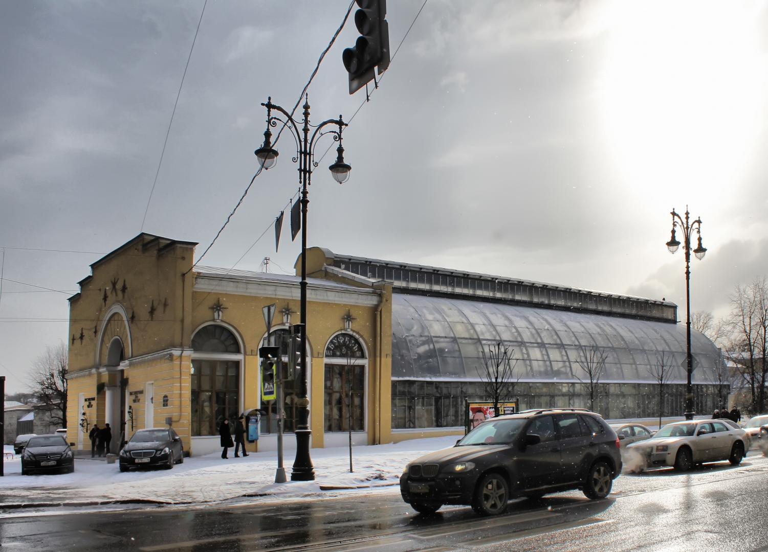 Растения оранжереи Таврического сада в Петербурге спасены от холода