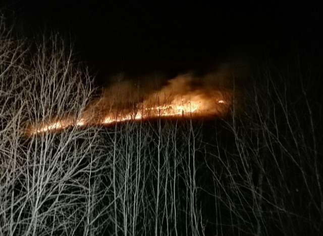 Природный пожар в Забайкалье